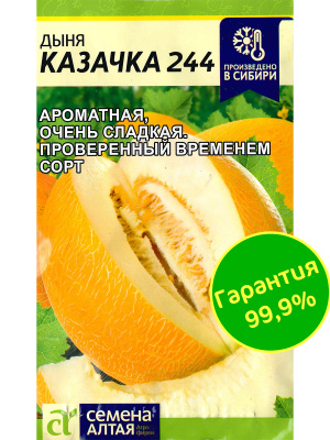 Дыня Казачка 244 [Семена алтая] купить с доставкой ​Дыня Казачка 244 – это яркий представитель ароматных и сладких сортов, который радует глаз золотисто-жёлтой кожурой с сетчатым узором. Её мякоть белоснежная, сочная, с насыщенным медовым вкусом и приятным ароматом, который напоминает солнечные летние дни. Дыня Казачка 244 – это выбор тех, кто ценит гармоничное сочетание вкуса, аромата и простоты выращивания.