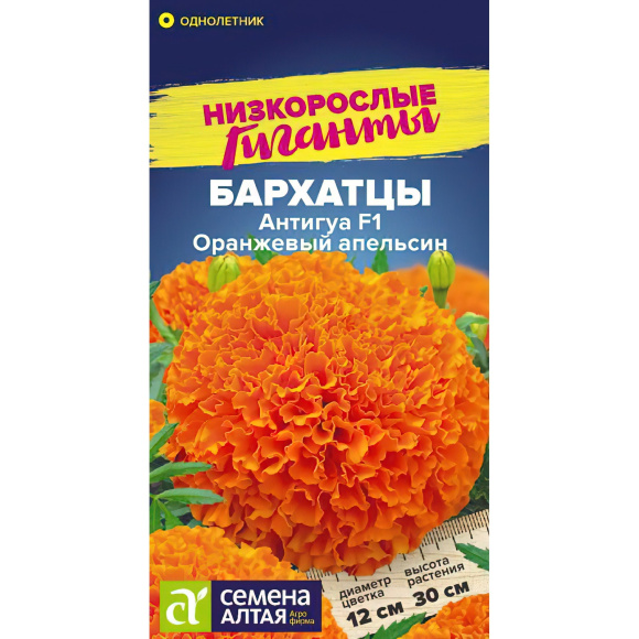 Бархатцы Антигуа Оранжевый апельсин [Семена алтая] купить с доставкой