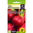 Редис Дуро Краснодарское [Семена алтая] купить с доставкой - Редис Дуро Краснодарское [Семена алтая] купить с доставкой