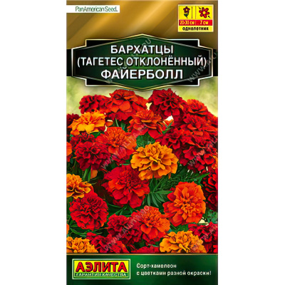 Бархатцы Файерболл отклоненные [Аэлита] купить с доставкой С его изысканной красотой и неординарной расцветкой не сравнится ни один другой вид тагетеса.