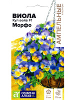 Виола Кул Вейв Морфо [Семена алтая]