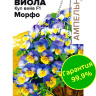 Виола Кул Вейв Морфо [Семена алтая]