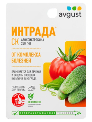 Интрада [Август] купить с доставкой 