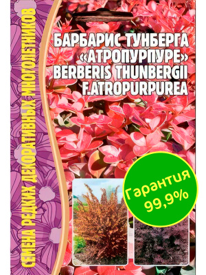 Барбарис Тунберга Атропурпуре [Семена редких растений] купить с доставкой На фоне садовой зелени, он, как алый костер «пылает» на протяжении всего сезона.