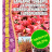 Барбарис Тунберга Атропурпуре [Семена редких растений] купить с доставкой - Барбарис Тунберга Атропурпуре [Семена редких растений] купить с доставкой