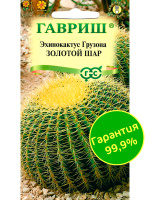 Кактус Эхинокактус Грузона Золотой шар [Гавриш]