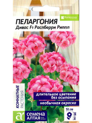 Пеларгония Дивас Распберри Риппл [Семена алтая] купить с доставкой ​Пеларгония Дивас F1 Распберри Риппл — это великолепное растение, которое станет настоящей звездой вашего сада или балкона! С яркими цветами, напоминающими малину с легким рябым узором, она привлекает внимание и создает атмосферу уюта.