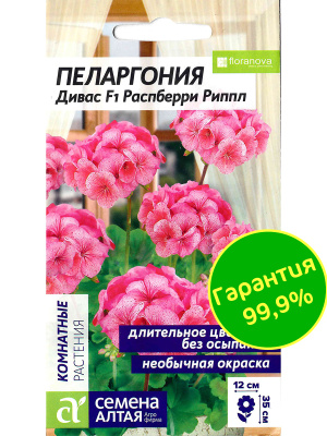 Пеларгония Дивас Распберри Риппл [Семена алтая] купить с доставкой ​Пеларгония Дивас F1 Распберри Риппл — это великолепное растение, которое станет настоящей звездой вашего сада или балкона! С яркими цветами, напоминающими малину с легким рябым узором, она привлекает внимание и создает атмосферу уюта.