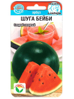 Арбуз Шуга Бейби [Сибирский сад]