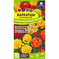 Бархатцы Отклоненные Смесь махровых сортов [Семена алтая]
