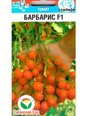 Томат Барбарис [Сибирский сад] купить с доставкой один из наиболее ярких представителей вишневовидных томатов черри
