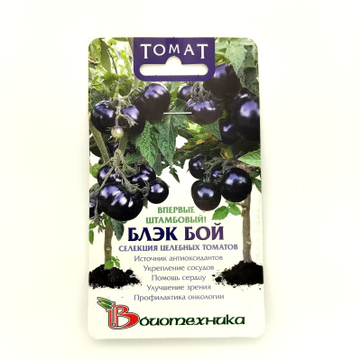 Томат Блэк Бой [Биотехника] купить с доставкой Томат Блэк Бой - уникальный экспериментальный сорт с необычными фиолетово-черными плодами, напоминающий изящное дерево бонсай благодаря суперкомпактной штамбовой форме. Он относится к серии целебных томатов и является натуральным источником ценных антиоксидантов, необходимых для здоровья сердца и кровеносных сосудов, остроты зрения и профилактической защиты от онкологических заболеваний.