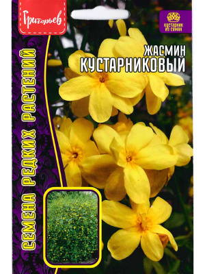 Жасмин Кустарниковый [Семена редких растений] купить с доставкой Жасмин кустарниковый - это многолетнее растение, которое славится своей красотой и потрясающим ароматом. Обладает лечебными свойствами. Это ароматная поэма, написанная на языке цветов. Его пышные нежно-желтые цветы благоухают под лучами солнца, очаровывая своей неповторимой красотой. Аромат жасмина кустарникового глубокий, сладкий, с зелеными, восковыми и фруктовыми нюансами.