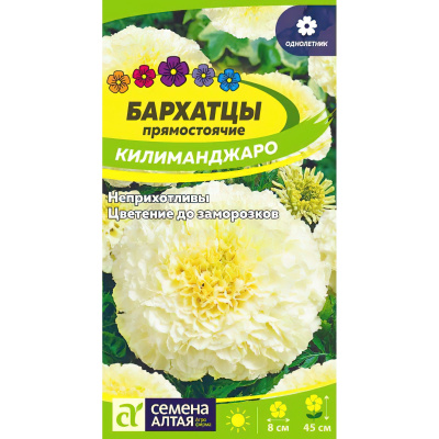Бархатцы Килиманджаро [Семена алтая] купить с доставкой триумфальный сорт бархатцев, покоривший садоводов и флористов