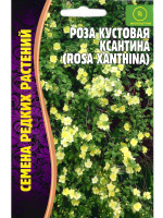 Роза кустовая Ксантина [Семена редких растений]