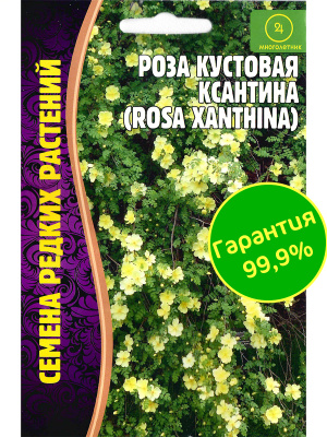 Роза кустовая Ксантина [Семена редких растений] купить с доставкой Необычное вьющееся растение с нежными цветками – роза Ксантина. Она станет украшением любого сада, будет выгодно смотреться в качестве живой изгороди, розу можно пустить на арку, а срезанные цветы будут радовать своей красотой долгое время.