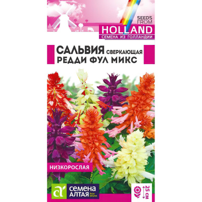 Сальвия Редди Фулл микс сверкающая [Семена алтая] купить с доставкой красивое обильноцветущее растение, известное также как шалфей