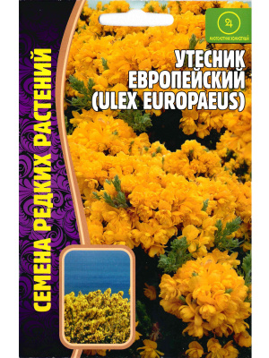 Утесник Европейский [Семена редких растений] купить с доставкой Утесник европейский — это красивое и неприхотливое растение, которое станет украшением любого сада, добавляя ему ярких красок, изящества и очарования. Его бархатные цветки, словно янтарные россыпи украшают каменистые склоны. Невысокий, но крепкий, утёсник стойко переносит суровые горные условия, очаровывая своей стойкостью и нежностью.