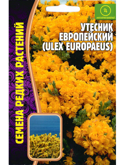 Утесник Европейский [Семена редких растений] купить с доставкой