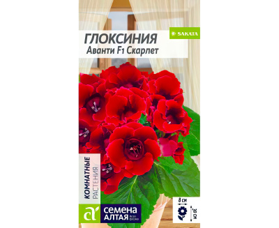 Глоксиния Аванти Скарлет [Семена алтая] купить с доставкой Роковая красавица в бархатном красном платье заворожит взгляды всех гостей