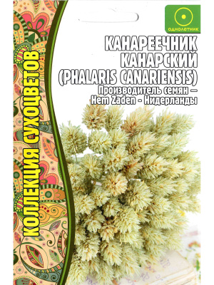 Канареечник Канарский [Семена редких растений] купить с доставкой Канареечник канарский – очень эффектный злак, широко довольно часто используемое в ландшафтном дизайне. Свое название растение получило из-за того, что его семена служат пищей птичкам, в том числе и канарейкам. Канареечник, или шелковая трава, ценится за красоту листьев и соцветий, а также неприхотливость, устойчивость побегов к полеганию.