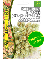 Канареечник Канарский [Семена редких растений]