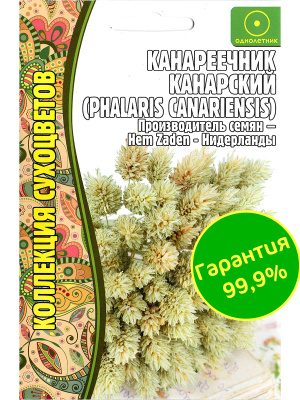 Канареечник Канарский [Семена редких растений] купить с доставкой Канареечник канарский – очень эффектный злак, широко довольно часто используемое в ландшафтном дизайне. Свое название растение получило из-за того, что его семена служат пищей птичкам, в том числе и канарейкам. Канареечник, или шелковая трава, ценится за красоту листьев и соцветий, а также неприхотливость, устойчивость побегов к полеганию.