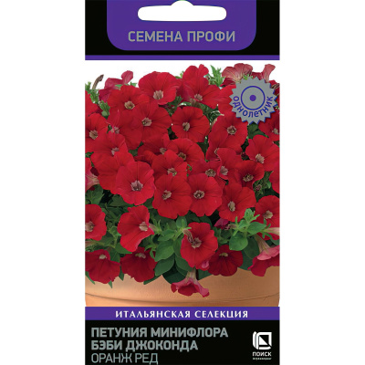 Петуния минифлора Бэби Джоконда Оранж Ред [Поиск] купить с доставкой новейший гибридный сорт петунии, ставший настоящим прорывом в мире селекции
