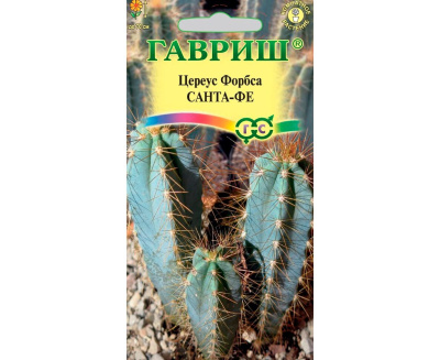 Кактус Цереус Форбса Санта-Фе [Гавриш] купить с доставкой Статный кактус с голубым отливом удивит вас не только своими размерами и цветом