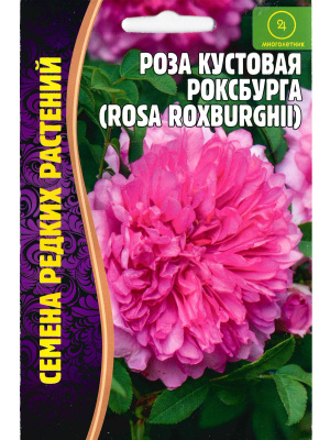 Роза кустовая Роксбурга [Семена редких растений] купить с доставкой Роза Роксбурга – одна из самый популярных сортов в мире. Колючий кустарник цветет крупными ароматными цветами и имеет вкусные и очень полезные плоды.