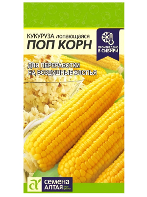 Кукуруза Поп Корн [Семена алтая] купить с доставкой ​Кукуруза Попкорн – это сорт для настоящих ценителей этой воздушной закуски. Высокоурожайный сорт с большим выходом лопающихся при нагревании зёрен. Кукуруза попкорн имеет несколько существенных отличий от обычных сортов. У ее зерен более гладка и «глянцевая» поверхность, а кожица тонкая и твердая. В кукурузе для попкорна содержится значительно меньшее количество крахмала чем в других сортах.
