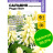 Сальвия Редди Вайт сверкающая [Семена Алтая] купить с доставкой - Сальвия Редди Вайт сверкающая [Семена Алтая] купить с доставкой
