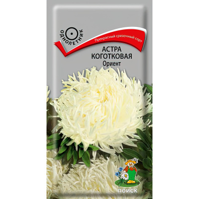 Астра коготковая Ориент [Поиск] купить с доставкой новый сорт коготковой астры, который высоко ценится благодаря оригинальным и необычным соцветиям