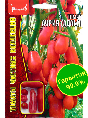 Томат Аурия [Семена редких растений] купить с доставкой Томат Аурия (Адам) - это идеальный вариант для садоводов, желающих «разбавить» привычные классические виды редким сортом. Оригинальный и привлекательный внешний вид, великолепный вкус, изобилие плодов - все это сочетает в себе экзотика, к которой относится томат Аурия.