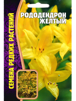 Рододендрон Желтый [Семена редких растений] купить с доставкой Рододендрон желтый - всеми любимое растение, которое можно вырастить из семян. Его прекрасный внешний вид не оставит никого равнодушным, а яркий цвет станет акцентом в любой точке сада.