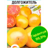 Томат Долгожитель [Сибирский сад]