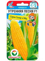 Кукуруза Утренняя песня [Сибирский сад]