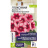Глоксиния Аванти Персиково-розовая [Семена алтая] купить с доставкой - Глоксиния Аванти Персиково-розовая [Семена алтая] купить с доставкой