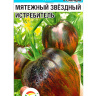 Томат Мятежный Звездный Истребитель [Сибирский сад]