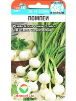 Лук на зелень Помпеи [Сибирский сад]