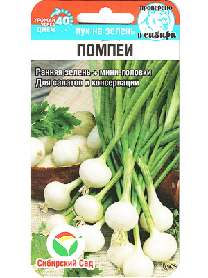 Лук на зелень Помпеи [Сибирский сад] купить с доставкой Лук «Помпеи» — это сорт, созданный для тех, кто ценит не только вкус, но и привлекательный внешний вид зелени. Это отличный выбор для тех, кто хочет получать свежую зелень в любое время года. Он станет незаменимым помощником на вашем столе и лёгким акцентом в любых блюдах.