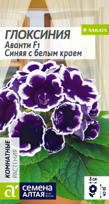 Глоксиния Аванти Синяя с белым краем [Семена алтая] купить с доставкой Цветок вечной изморози! Эта глоксиния освежит вашу квартиру своим морозным дыханием. Ее лепестки будто покрыты инеем, который не растает даже в самый жаркий летний день!