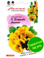 Виола Фламенко желтая Виттрока [Гавриш]