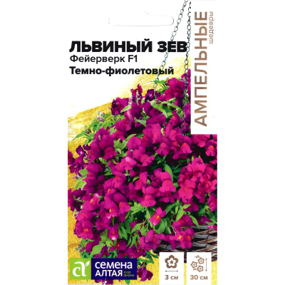 Львиный зев Фейерверк темно-фиолетовый ампельный [Семена алтая] купить с доставкой Красивое ампельное растение, которое будет радовать своими пышными соцветиями весь сезон – все это львиный зев Фейерверк темно-фиолетовый. Растение абсолютно неприхотливо в уходе, возможно выращивать в качестве почвопокровника.
