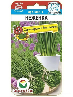 Лук Шнитт Неженка [Сибирский сад] купить с доставкой Лук-шнитт «Неженка» — это сорт лука идеально подходит для добавления в свежие салаты, соусы и другие блюда, где важен лёгкий, но выразительный луковый вкус. Листья «Неженки» тонкие и деликатные, с лёгким ароматом, который не перегружает, но подчёркивает вкус пищи.