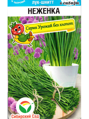 Лук Шнитт Неженка [Сибирский сад] купить с доставкой Лук-шнитт «Неженка» — это сорт лука идеально подходит для добавления в свежие салаты, соусы и другие блюда, где важен лёгкий, но выразительный луковый вкус. Листья «Неженки» тонкие и деликатные, с лёгким ароматом, который не перегружает, но подчёркивает вкус пищи.