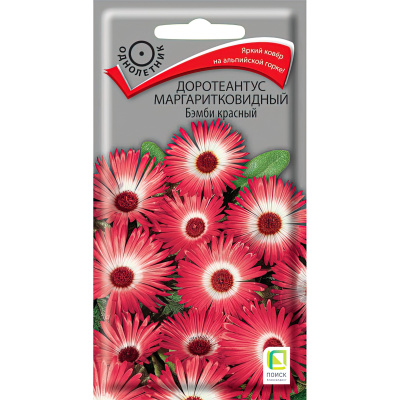 Доротеантус маргаритковидный Бэмби красный [Поиск] купить с доставкой обильноцветущее декоративное растение, создающее пышный, красочный ковер