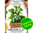 Мелисса Лимонный Аромат [Семена алтая] купить с доставкой - Мелисса Лимонный Аромат [Семена алтая] купить с доставкой