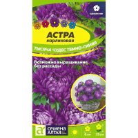 Астра Тысяча чудес темно-синяя карликовая [Семена алтая]
