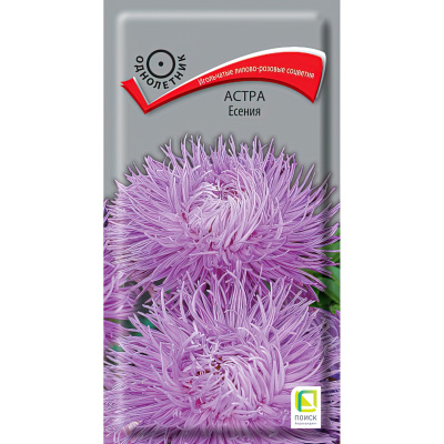 Астра Есения [Поиск] купить с доставкой декоративное растение с элегантными лилово-розовыми соцветиями